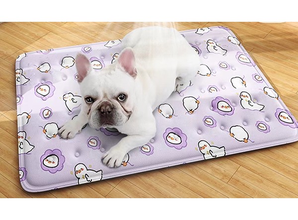 安微冰墊專用羧甲基纖維素增稠劑